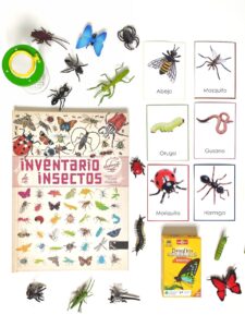 Cómo evitar que los niños manipulen incorrectamente a pequeños insectos.