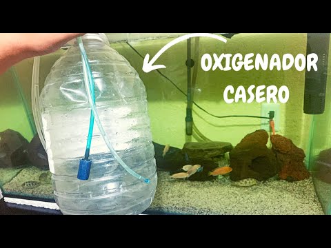 Cómo manejar emergencias de pérdida de oxígeno en el acuario.