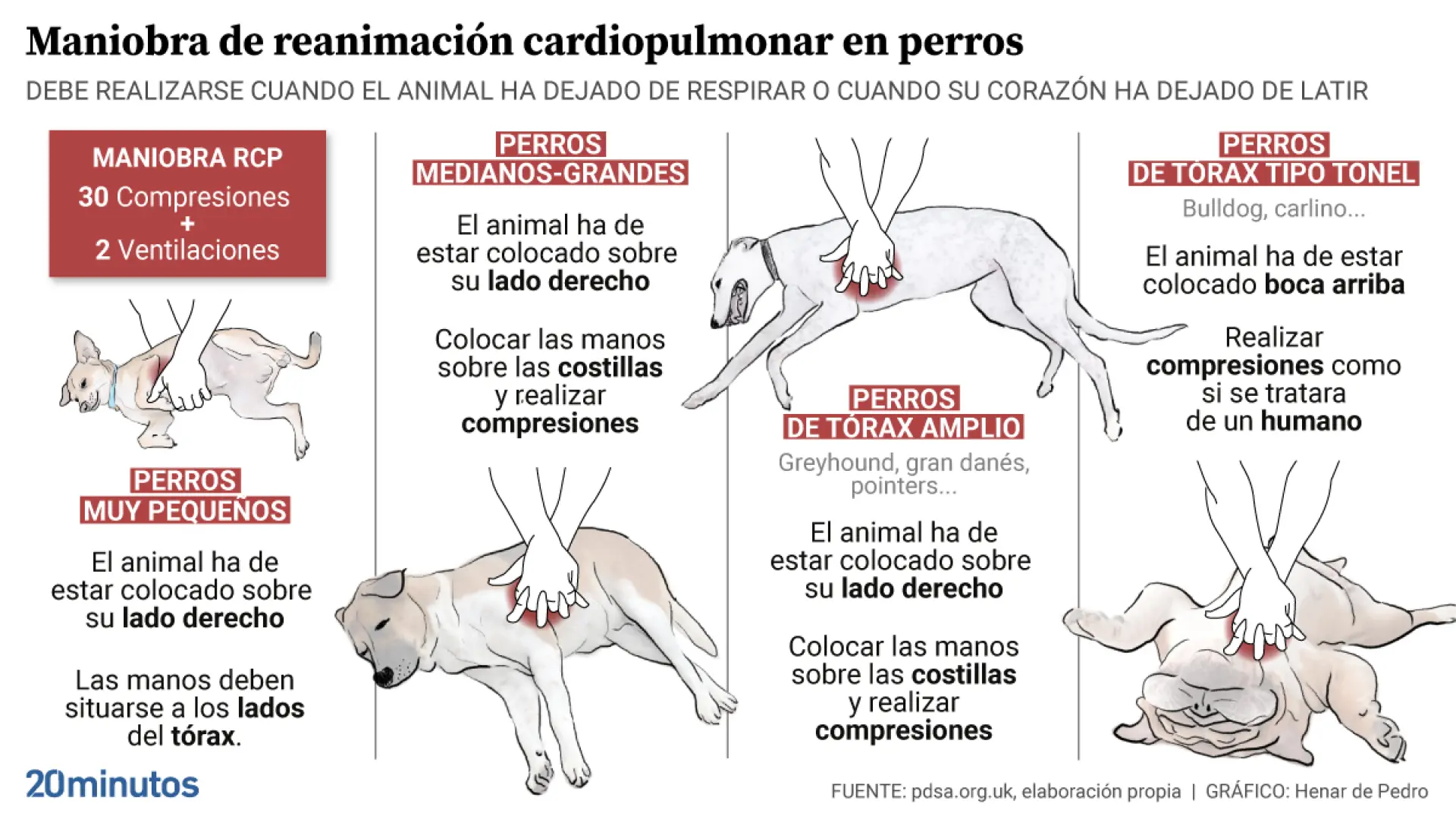 Consejos para manejar una emergencia respiratoria en pequeños mamíferos.