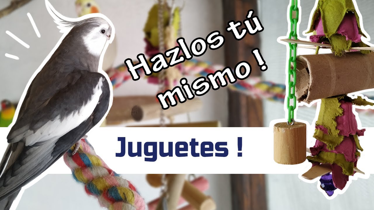 Los mejores materiales para hacer juguetes caseros para pájaros.