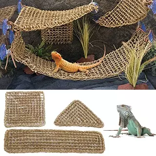 Los mejores materiales para hacer juguetes caseros para reptiles.